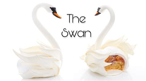 The Swan Youtube