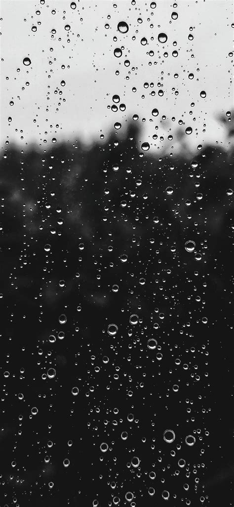 Water Dew On Window Iphone X Wallpapers Free Download
