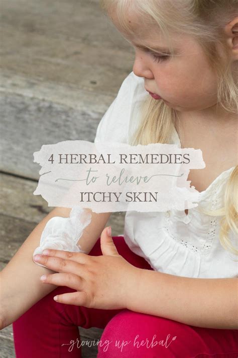 4 Herbal Remedies To Relieve Itchy Skin Growingupherbal