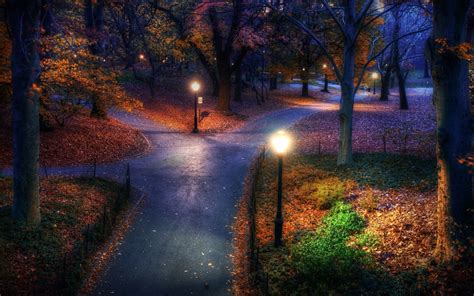 Hintergrundbilder Sonnenlicht Wald Fallen Nacht Natur