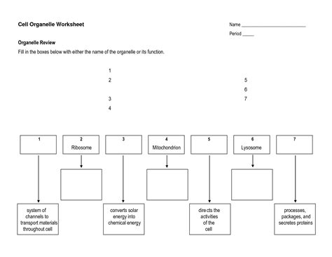 Living organisms are unique in that they can extract energy from. 15 Best Images of Cell Structure And Processes Worksheet ...