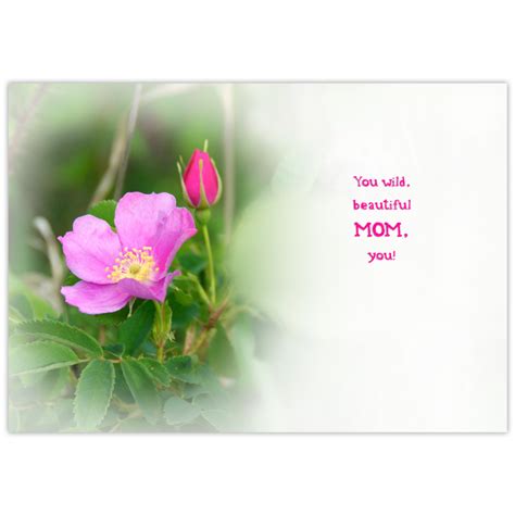 wild rose mother s day card dōnabōna cards
