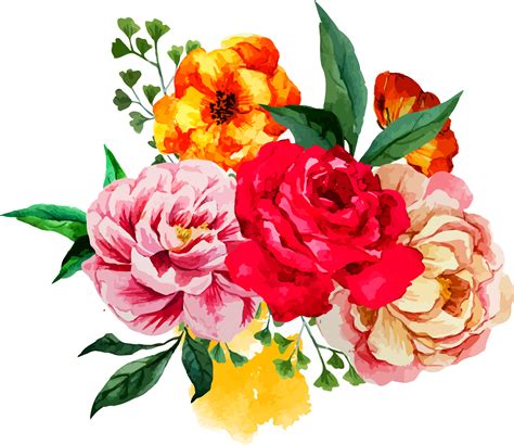 Peony Bouquet Png Watercolor Peony Drawing Free Transparent Clipart