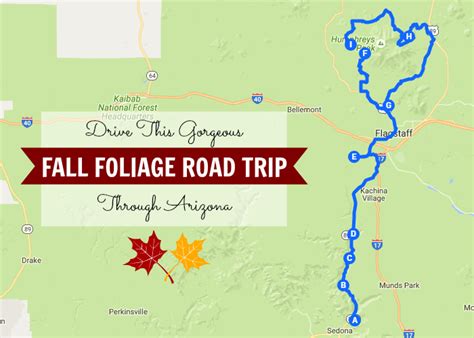 Take This Gorgeous Fall Foliage Road Trip Through Arizona