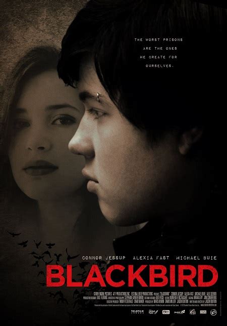 Blackbird Web Dl P Hd Unsoloclic Descargar Pel Culas Y
