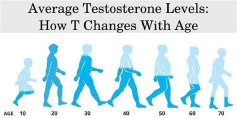 Testosterone Levels By Age Chart For Men Normal And Ideal Ultimate Guide