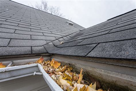 7 Signs Your Gutters Are Clogged Conde Roofing