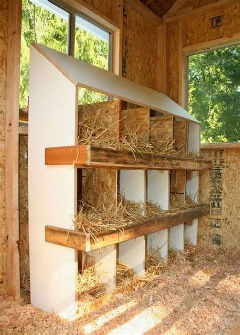 Building A Cozy Chicken Nesting Box In 7 Simple Steps Your Projectsobn