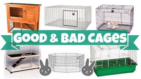 Good vs Bad Rabbit Cages | Diy rabbit cage, Rabbit cages ...