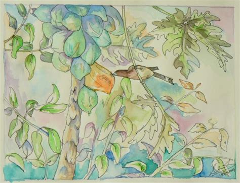 The Papaya and the Treepie. Types drawings. Drawings ...