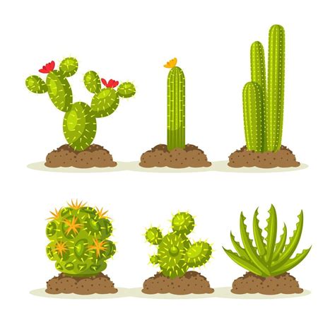 Conjunto De Plantas De Cactus En El Desierto Entre Arena Y Tierra