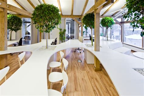 Biophilic & Sustainable Interior Design · The biophilic office: what it