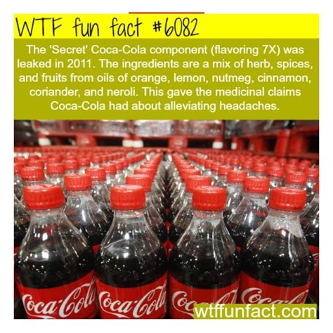 Wtf Fun Facts Funny Facts Odd Facts Awesome Facts Random Facts