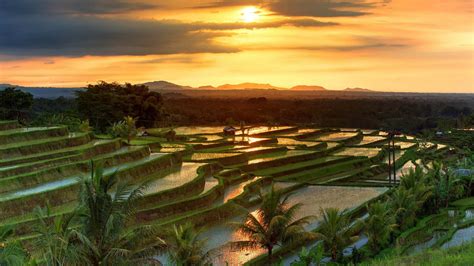 Famous Jatiluwih Rice Terraces On Bali During Sunrise Indonesia 1920×