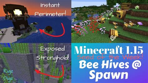 Bees have quite a few tags, mostly to do bee activities of pollination. Minecraft 1.15 Seed: Bee Hives and HUGE Flower Forest at ...