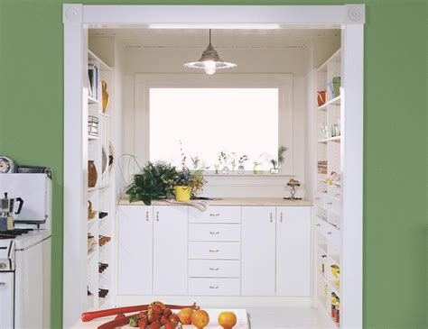 Image result for kitchen pantry with no door | California ...