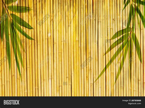 Light Golden Bamboo Image And Photo Free Trial Bigstock
