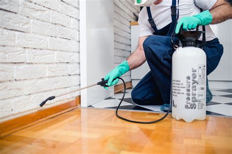Savior termite & pest control. Termite Treatment Cost: 5 Factors That Affect Pricing