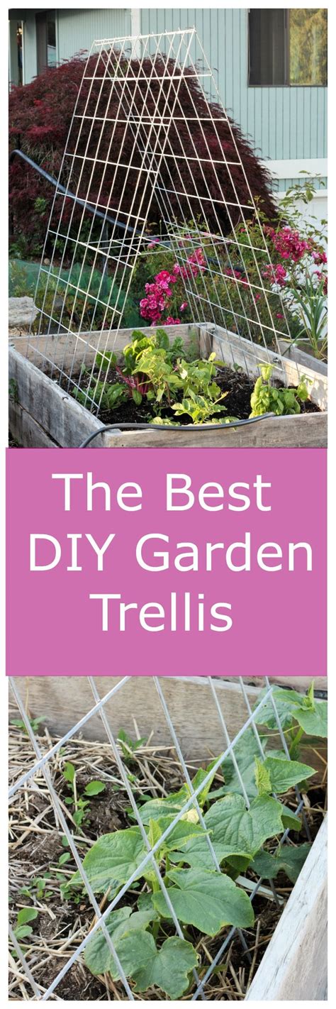 Diy Trellis Diy Garden Trellis Diy Garden Trellis Garden Trellis