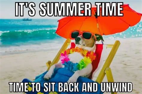 40 Best Summer Memes Thatll Help You Cool Down In 2024