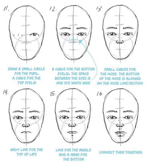 Drawing Face Proportions Scyap