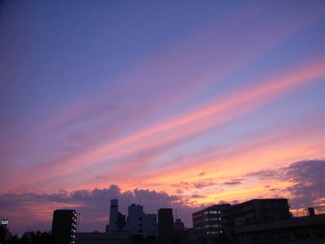 When you visit any website, it may store or retrieve information on your browser, mostly in the form of cookies. 個別「地震雲？？？」の写真、画像 - うしのはな写真集