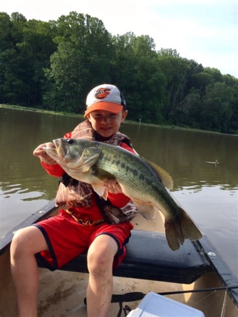 Fishing for largemouth bass, spotted bass, channel catfish, white crappie, walleye, saugeye, brown trout, bluegill and hybrid striped bass at jennings randolph lake in maryland. Mid-Atlantic Freshwater Fishing Report: June, 2017 ...