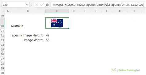 Excel Image Function • My Online Training Hub