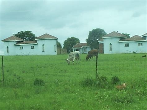 King Of The Zulus Palace Photo