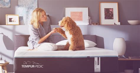 Save up to 70% during our blowout mattress sale. Sealy & Tempur-Pedic Mattress Clearance Sale