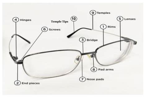 anatomy of eyeglasses eyegotcha