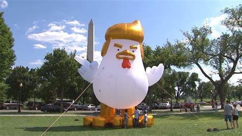 Giant Inflatable Chicken Resembling President Donald Trump Placed Near
