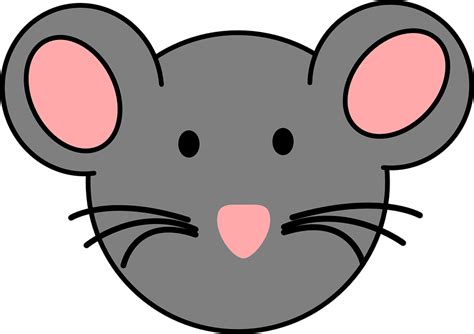 Mouse Face Animal Free Vector Graphic On Pixabay