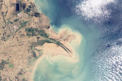 Mar Amarillo características origen biodiversidad y economía