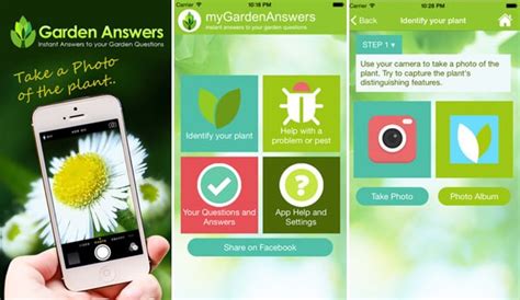 A plant identification application is created just for such cases: Best Plant Identification Apps | Balcony Garden Web