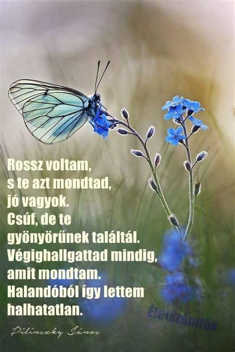 Kategória beszéd idézetek, hazugság idézetek. Pilinszky János idézet a változásról. A kép forrása ...