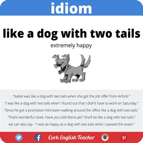 Fun activities for language of emotions. Idiom 'Like a dog with two tails'. | English Resources ...