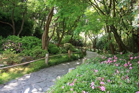 Peaceful Garden Path By Carol Groenen