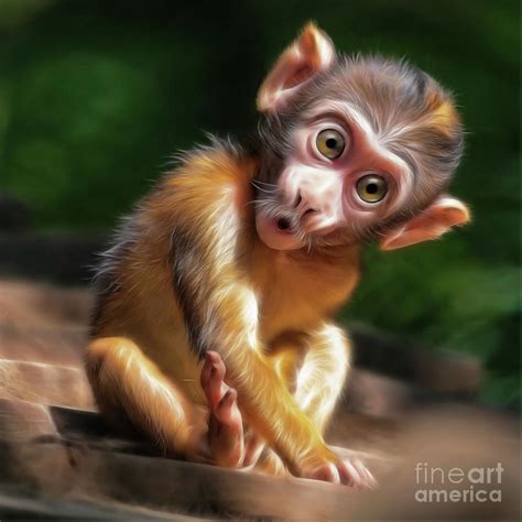 Baby Monkey Digital Art By Silvio Schoisswohl Pixels