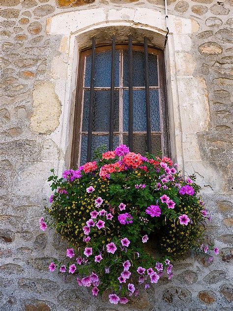Gorgeous 50 Awesome Plant Combinations For Window Boxes