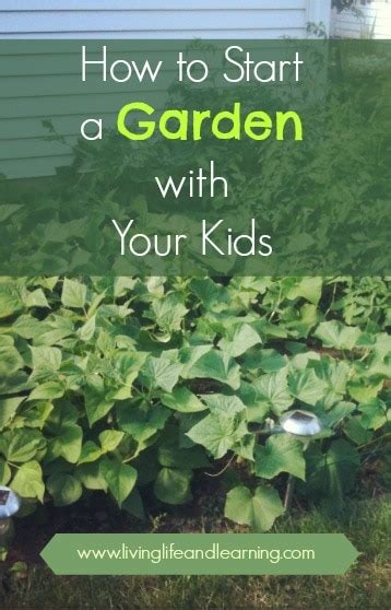 Once the seeds start to bloom, the gardener will realize that certain plant should be moved to the new spot. How to Start a Garden with Your Kids