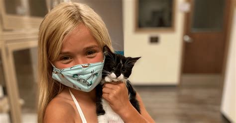 Craigslist Free "Pit Bulls" Near Grafton Wi. : Happy doggo dog doberman