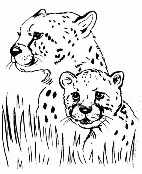 Coloring pages ideas of baby animals online download. Get This Cute Baby Cheetah Coloring Pages m57c2