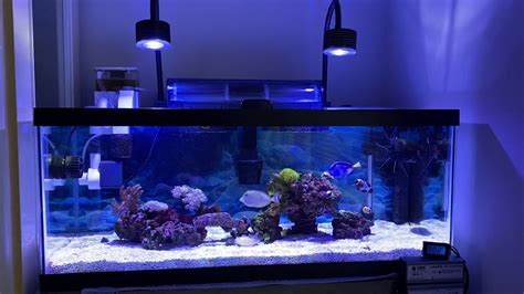 Lominie Asta 20 Led 2x Aquarium Light Full Spectrum Saltwater 20