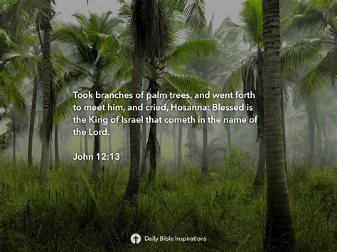 John 1213 Daily Bible Inspirations