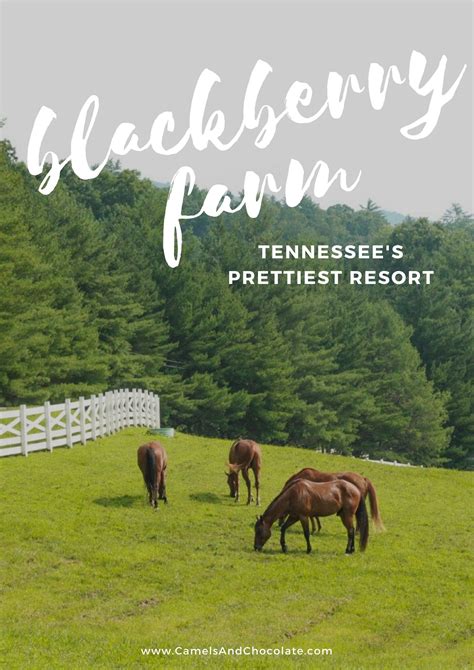 Blackberry Farm: The South’s Swankiest Resort Vacation Places, Vacation