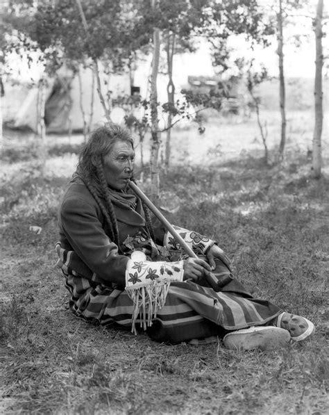 Chief Big Belly Tsuu Tina 1910 From The Harry Pollard Fonds P23 Provincial Archieves Of