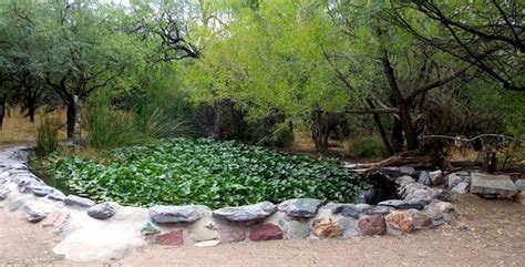 Cave creek, az | arissona at rockaway valley. Spur Cross Ranch (Cave Creek) - All You Need to Know ...