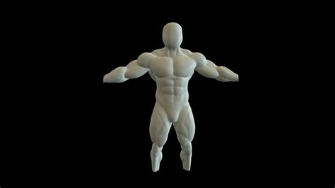 Human Anatomy Man 3d Model Muscles Cgtrader