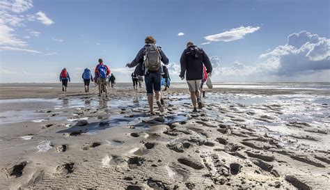Wadlopen Tidal Flat Hikes To The Wadden Islands